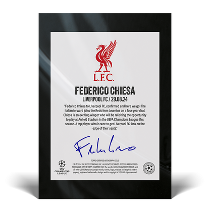 UCC Summer Signings 2024 by Fabrizio Romano: Here we go